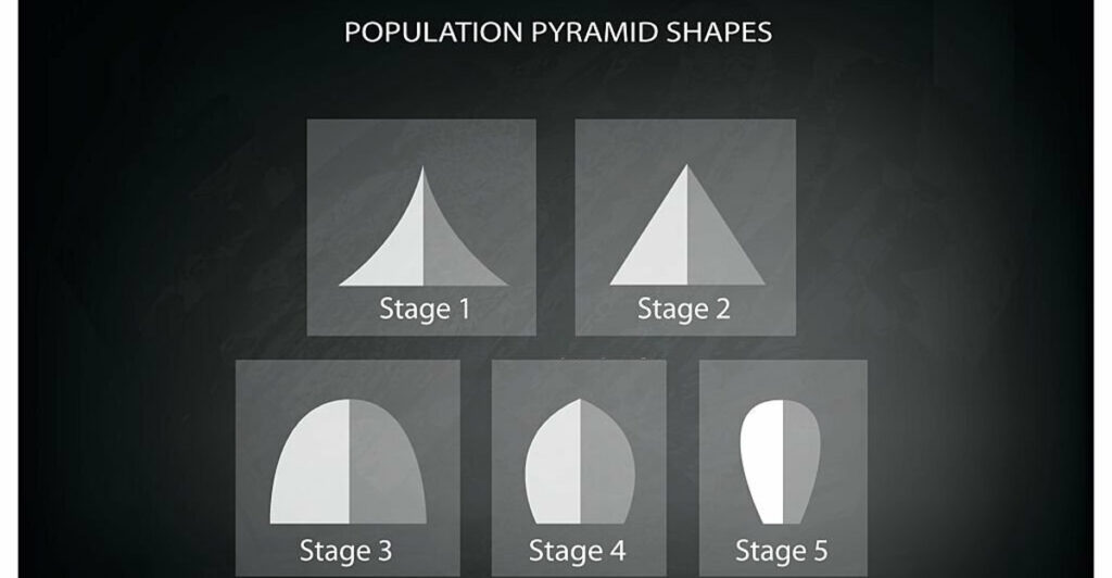 Nüfus piramidi nedir?